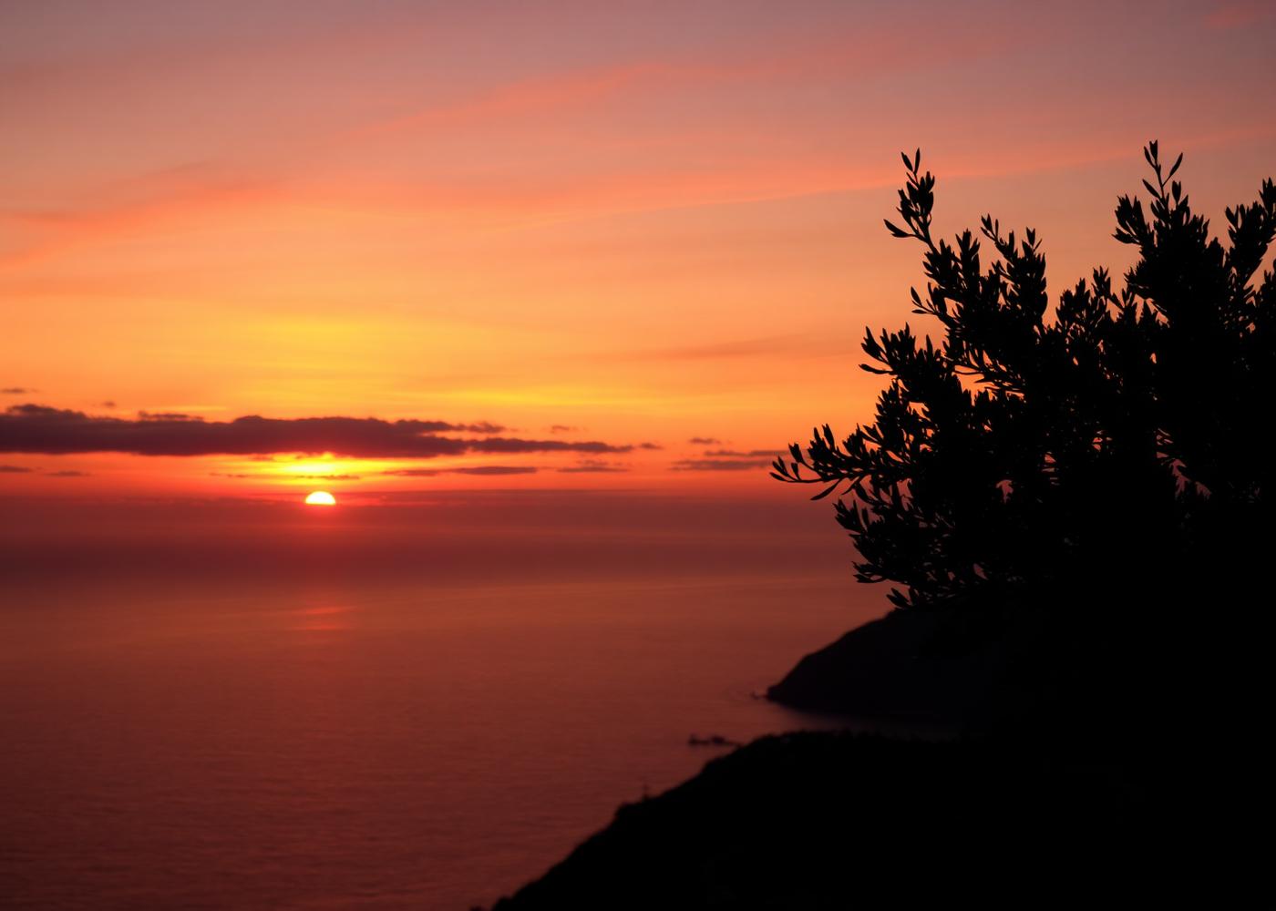 Atlantic sunset with olive silhouette